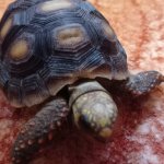 phoca_thumb_m_elva 5 Fotogalerie